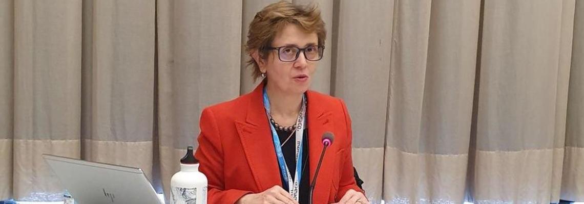 Monaco attends 2nd WHO special session