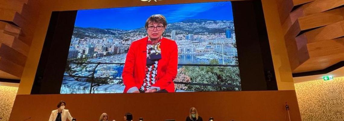 Monaco participates in 75th World Health Assembly