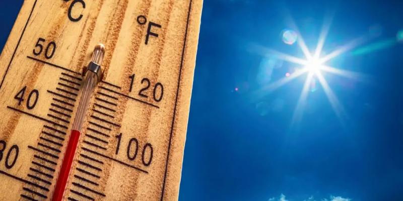 Advice on dealing with hot weather