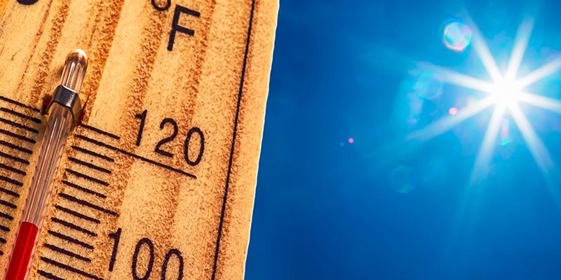 Tips for hot weather